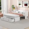 Queen Size Murphy Bed with USB Ports, Large Drawers and Metal Handles, White